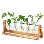 XXXFLOWER Desktop Propagation Station Propagators for Plants Cuttings Glass Plant Bulb Vase with Wooden Stand Glass Plant Pot and Metal Swivel Holder for Indoor Home Garden Wedding Décor (5 Bulbs)