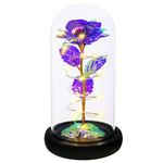 Christmas Rose Gifts for Women,Birthday Gifts for Women,Rose Flower Gifts for Women,Colorful Purple Light Up Rose in A Glass Dome,Rose Gifts for Mom Her Christmas,Thanksgiving,Anniversary