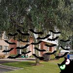 Halloween Decorations, 18Pcs 3D Bats Halloween Decoration Outdoor, Scary Black Bat with Glowing Eyes Hanging Halloween Decor, Decorative Bat Halloween Yard Decorations for Indoor, Wall, Tree, Lawn