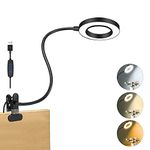 Gooseneck Clamp Lamp