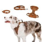 Dog Vest Harness with Handle, Dog Collar and Leash Set | BearBone No Pull Dog Harness and Leash Set | Dog Harness Medium Breed (Brown, Medium)