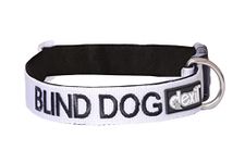 Collar With Blind Dogs