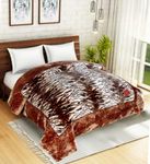 Petals Dreams Blanket Double Bed for Heavy Winter, 1100 GSM, 2 Ply, Cloudy Mink Blanket (210x240 cm) (Leopard 3)