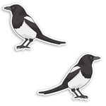 2 x 10cm Magpie Bird Vinyl Stickers - Wildlife Nature Laptop Sticker #31019 (10cm Wide)