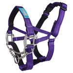 Big Dog Styles Head Collar. Made in UK for Large and Giant Breeds, Maximum Control, Stop Pulling, Anti Chew, Stainless Steel Fittings, Fully Lined (2, Purple)