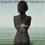 Dubstep Side Of The Moon (Various Artists) (Vinyl)