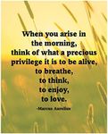 Marcus Aurelius Quotes- When You Ar