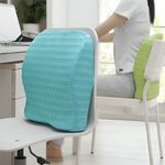 HealthSense Back Support for Chair, Back Rest for Chair Back Pain, Lumbar Support for Car Support with Memory Foam, 8 Magnets, Washable Mesh Cover & Adjustable Strap - Soft-Spot BC 21