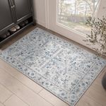 jinchan Area Rug 2x3 Entryway Rug -