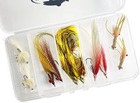 Saltwater Fly Fishing Flies Assortment Kit with Fly Box, Deceiver, Clouser, Crab, Candyman, Shrimp - 10 Piece