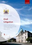 Civil Litigation (Law Society of Ireland) (Law Society of Ireland Manuals)