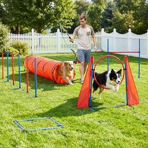 DWVO Dog Agility Accessories Kit: Comprises of a Teaser Pole, 2 Hurdles, 3 Flying Discs, 6 Weaving Poles, Agility Tunnel, Pause Box, Full Set of Agility Equipment for Backyard Indoors Outdoors