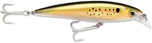 Rapala X-Rap Saltwater 10 Fishing L