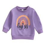 Toddler Girls Big Sister Sweatshirt Little Sis Matching Outfit Baby Boy Brother Long Sleeve T Shirts Tops Lil BRO Tees Clothes (Rainbow-Purple, 2-3 Years)