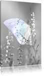 Pixxprint Butterfly on flower buds 80x60cm canvas art print XXL mural