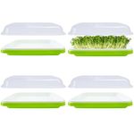 4 Pack Seed Sprouter Tray,32cm x 26cm Large Capacity Sprouting Tray Healthy Hydroponic Propagator with Planting Papers for Mung Beans Alfalfa Wheat Grass Garden (with lids)