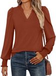 ANRABESS Women's Puff Long Sleeve Shirts V Neck Loose T-Shirts Dressy Casual Work Blouses 2024 Fall Tops Trendy Clothes Brown XL