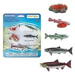 Safari Ltd Safariology Collection - Realistic Life Cycle of a Salmon Set - 5 Separate Pieces in Set - Non-toxic and BPA Free - Ages 3+