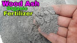 Wood Ash For Chickens