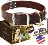 ADITYNA Big Leather Dog Collar - XXL Dog Collar for Giant Breeds Such as Mastiff (Giant: Fit 30" - 36" Neck, Brown)