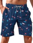 APTRO Men's Swim Trunks Quick Dry Bathing Suit Swimwear Beach Shorts HW019 Flamingo 1XL