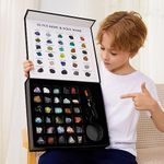 Rock Collection for Kids - 30 Pcs R