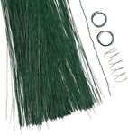 Royal Imports Bulk Green Cut Paddle Wire, 12" Stems, 26 Gauge, 600 pcs for Floral Arrangements, Florist Supplies, Jewelry, Gift, Crafts, Wreath Making, Flower Garland, Plant Garden Ties, Bouquet Wrap