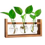 Ivolador Desktop Glass Planter Bulb with Retro Solid Wooden Stand and Metal Swivel Holder for Hydroponics Plants Home Garden Wedding Decor (3 Bulb)