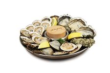 Shucker Paddy Oyster Tools (Tray Set)