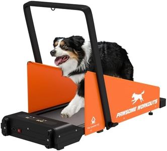 Dog Treadm