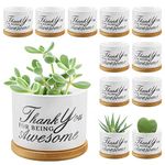 12 Pieces Thank You for being Awesome Succulent Pots 3.15 Inch Mini Ceramic Plant Pots with Bamboo Tray Small Flower Pots Graduation Appreciation for Friends Mom Wife Sister Coworker