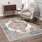 La dole Rugs Traditional Paisley Design Bordered Ikat Area Rug - Room Decor Carpet for Living Room, Bedroom, Kitchen, and Office - Multicolor, 6x9 (6'7" x 9'6", 200cm x 290cm)