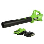 Greenworks 24V 90 MPH / 320 CFM Axial Blower, 2.0 Ah USB Battery (USB Hub) and Charger Included