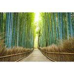 Pitaara Box Kyoto Japan Bamboo Forest | Canvas Painting for Bedroom & Living Room | Engineered Wood Frame | 27 x 18 inch (69 x 46 cms)