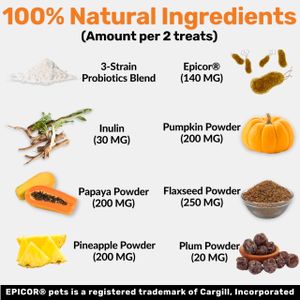 NutriPaw Digestive Treats for Dogs – Probiotic Chews
