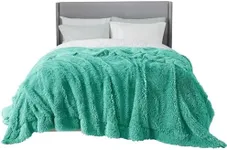 Bedsure Soft Aruba Blue King Size Blanket for Bed, Fluffy Fuzzy Large King Blanket for Winter, Cozy Plush Sherpa Fleece Faux Fur Blanket, Thick Warm Christmas Blanket Gifts for Women, Men, 108x90