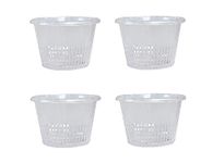 OrchidWala Plastic Hydroponics Pot, Clear, 8 inch, 4 Pieces