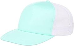 Lids Blank Basic Foam Trucker Adjustable Snapback Hat Light Green/White