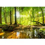 Runa Art Photo Wallpaper Forest Bach 352 x 250 cm Non-Woven Wall Art XXL Moderne Living Room Bedroom Green Brown 9141011a