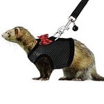 Rypet Small Animal Harness and Leas