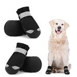 Dog Booties Petco