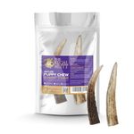 The Regal Mutt - Antler Puppy Chew - Bag of 2 - Suitable for Puppies & Smaller Dogs