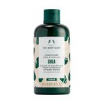 The Body Shop Shea Butter Richly Replenishing Conditioner For Dry Hair (Shea), 250 Gram