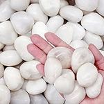 Aleker River Rock Stones Pebbles, Natural Decorative Polished Mixed White Pebbles Gravel for Garden, Plant Pots, Landscaping, Ponds, Terrariums Vase Fillers, DIY, Home Decor etc (3-5cm, 2.2lb)