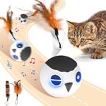 ORSDA Cat Toys, Interactive Cat Toy