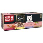 CESAR Adult Dog Pouches Sauce Selection in Gravy 40x100g