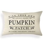 Ogiselestyle Fall Pumpkin Patch Lumbar Throw Pillow Cover 12 x 20 Inch Autumn Thanksgiving Farmhouse Harvest Cushion Case Decoration for Sofa Couch