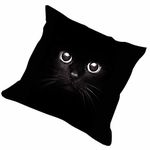 elegancebeauty The slimmingpiggy comfortable bedding cat in black background 18x18 inch pillow case cushion covers of ,18 x 18 inches / 45 by 45 cm decoration,gift for deck chair,bedroom,monther,wif