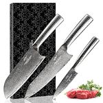 Damascus Kitchen Knife Set 3 PCS with Chef Knife,Santoku Knife and Paring Knife,VG10 Steel 67 Layers Superior Damascus Steel Knives Blades Sharp Damascus Japanese Style with Hammered Handles