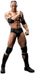 Tamashii Nations Bandai S.H. Figuarts Dwayne The Rock Johnson WWE Action Figure